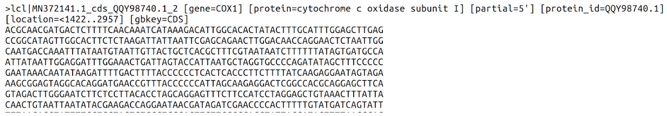 MN372141 gene COX1 image